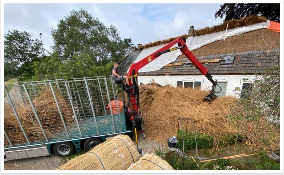 Thatched roof demolition and removal