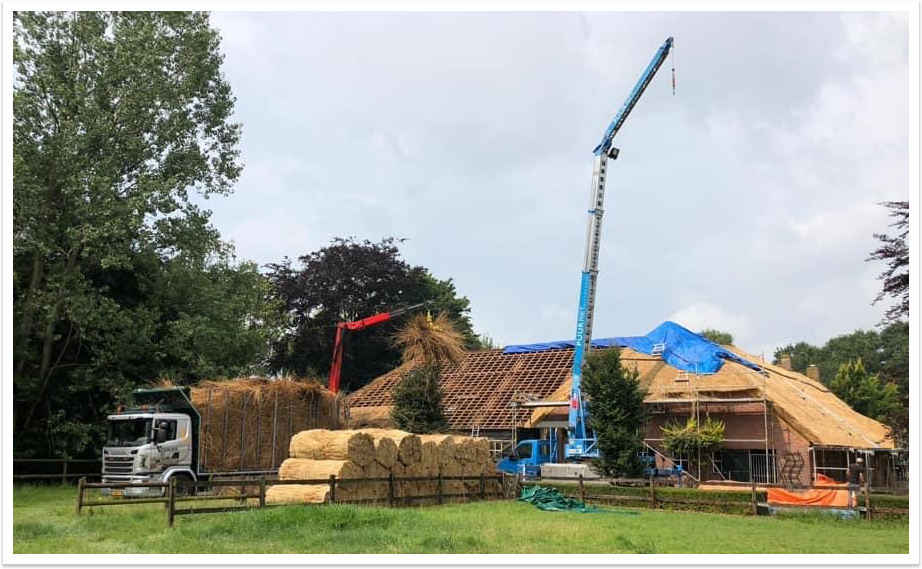 Remove thatch from thatched roof