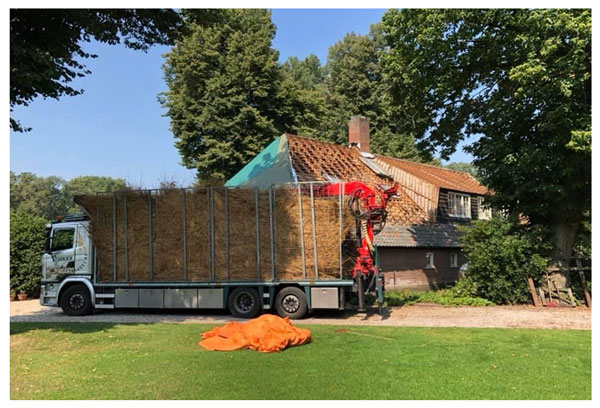 Remove and dispose of thatched roof