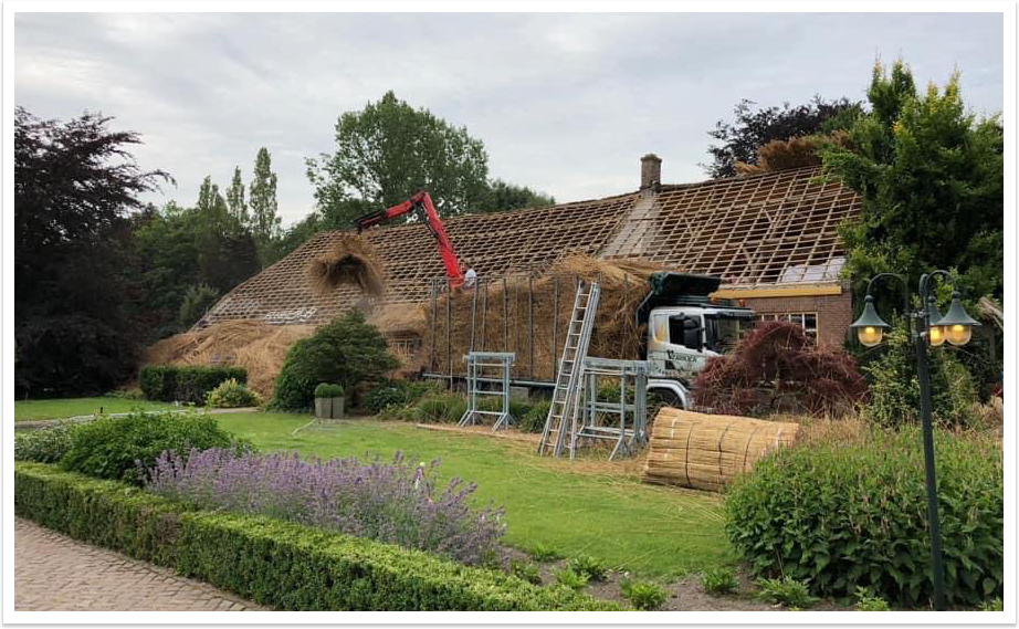 Remove thatch from thatched roof