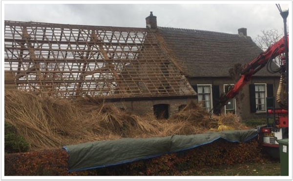 Costs to replace thatch