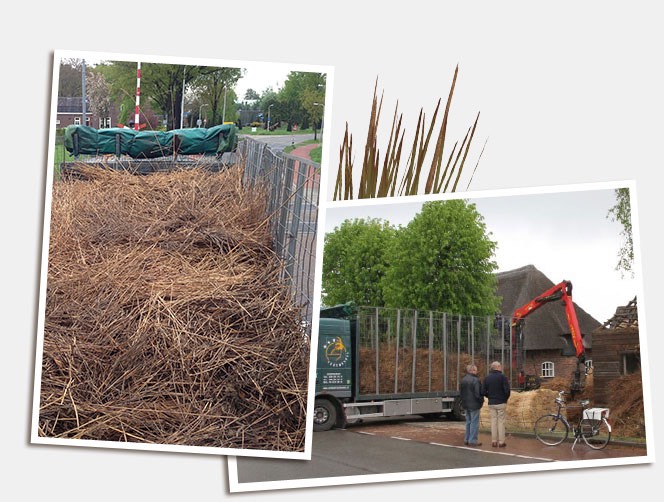 Replace thatched roof