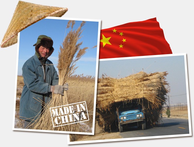 Riet uit China